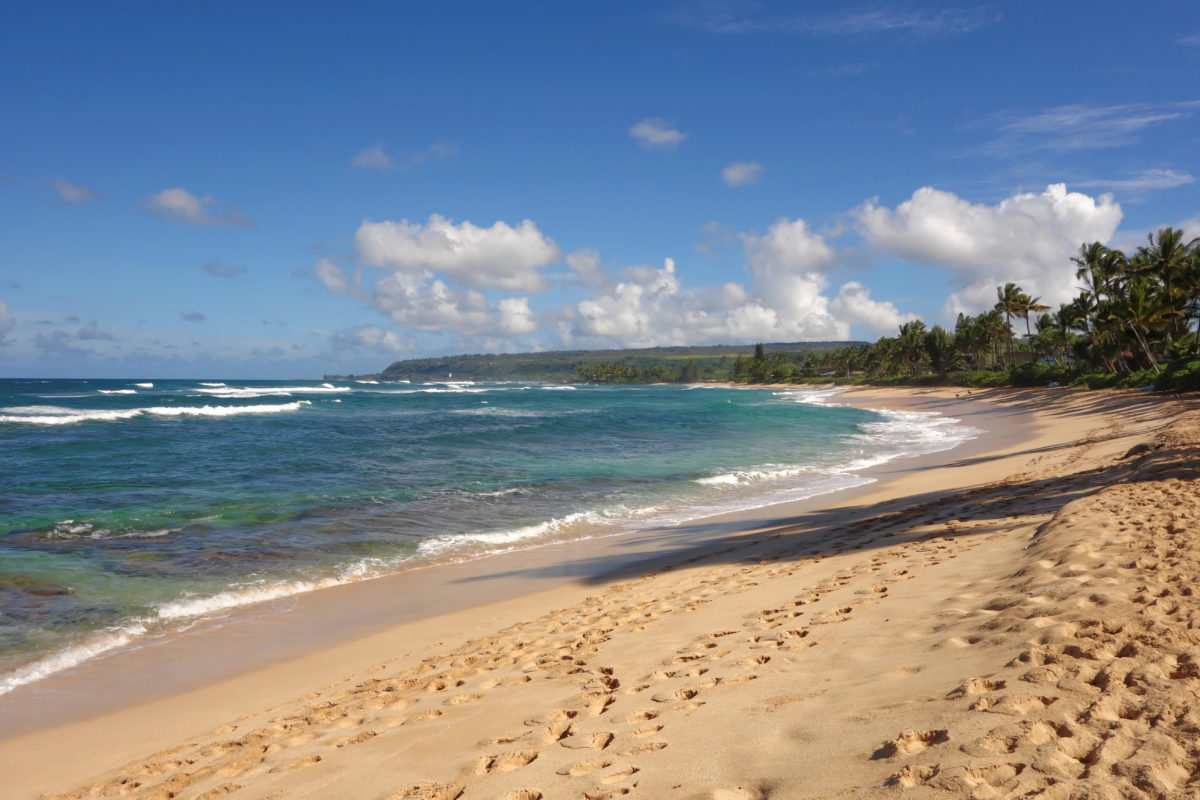 Moving to North Shore of Oahu? - Living in Hawaii