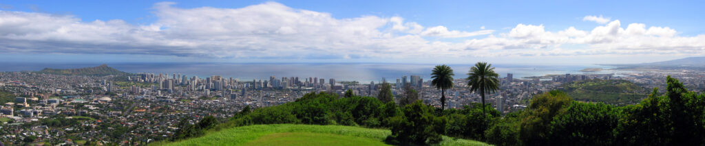 A panoramic view of the Waikiki skyline with high-rise buildings, palm trees, and a bright blue sky