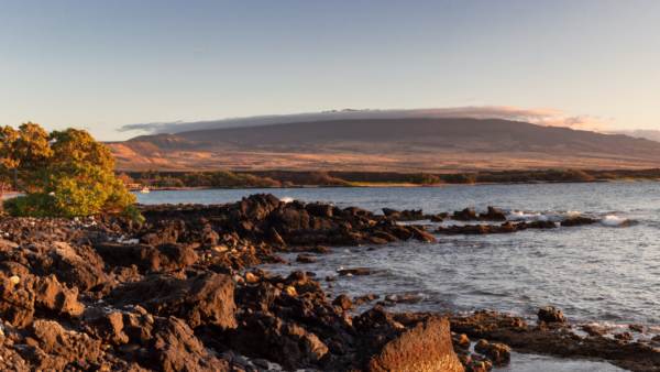 Waikoloa Coast Line