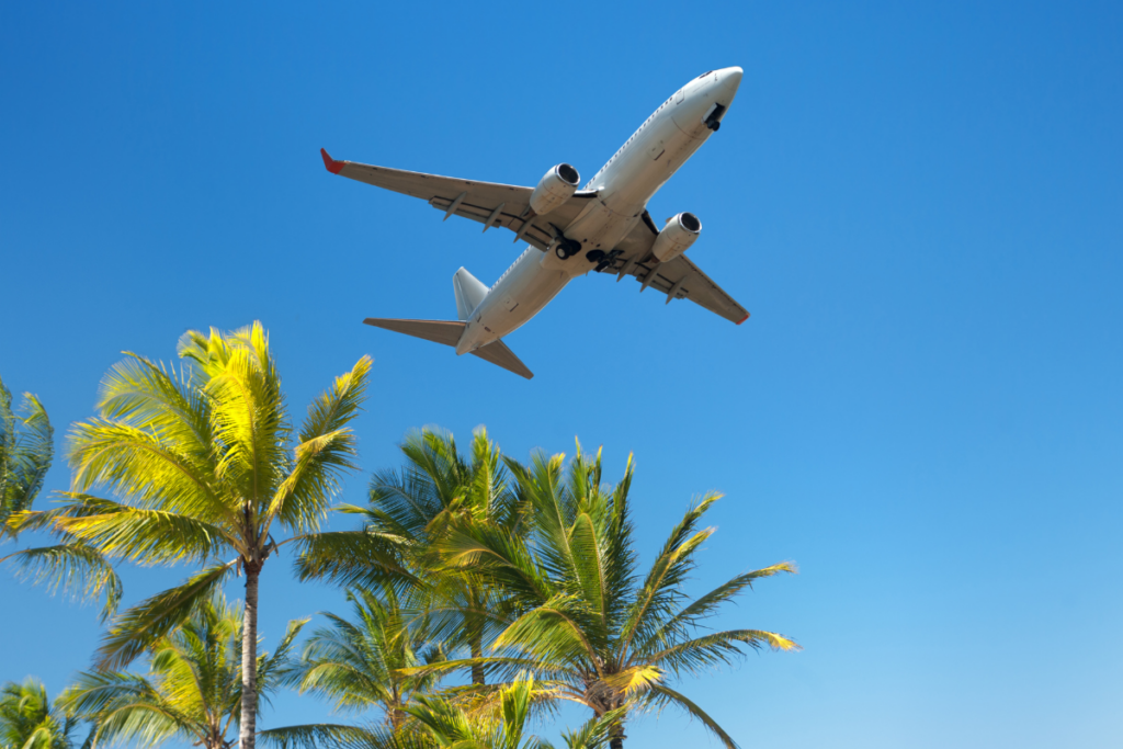 Air plane flying over palm trees